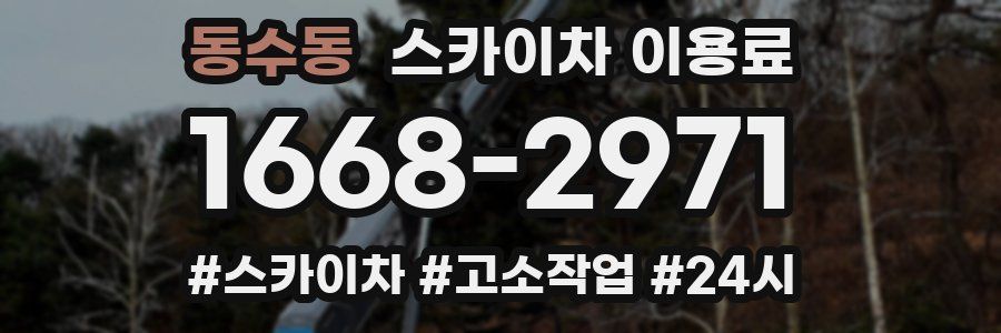 동수동 스카이차 이용료