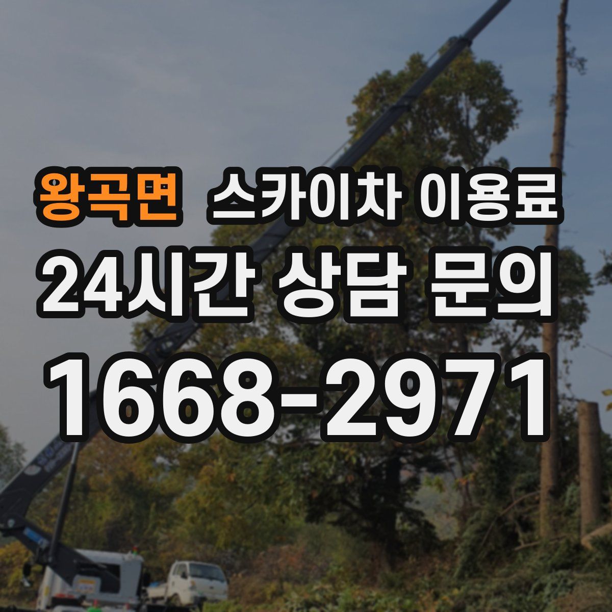 왕곡면 스카이차 이용료