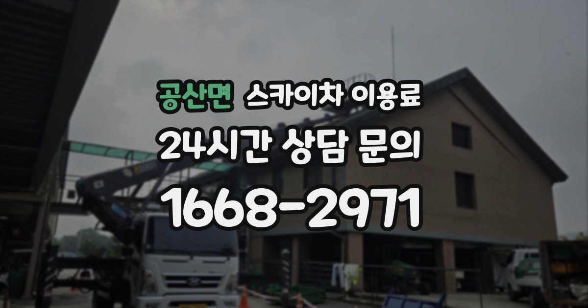 공산면 스카이차 이용료