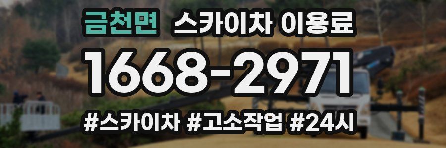 금천면 스카이차 이용료