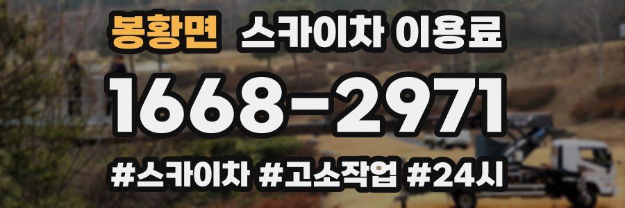 봉황면 스카이차 이용료