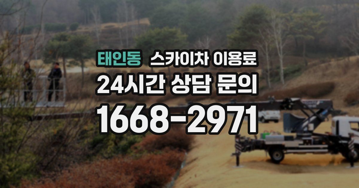 태인동 스카이차 이용료
