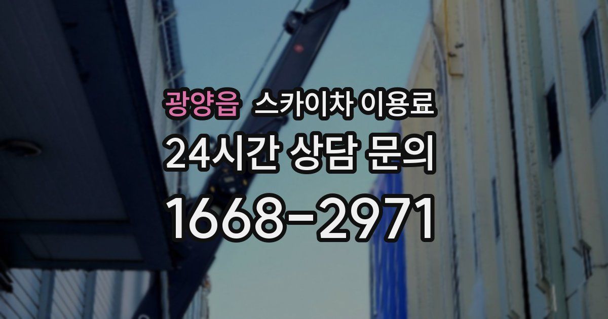 광양읍 스카이차 이용료