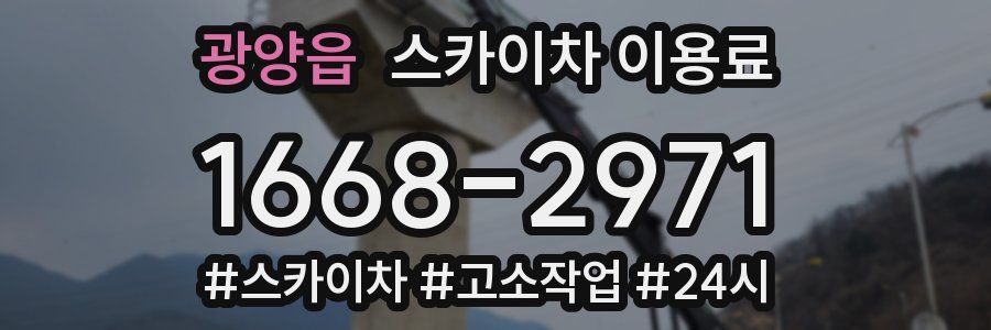 광양읍 스카이차 이용료