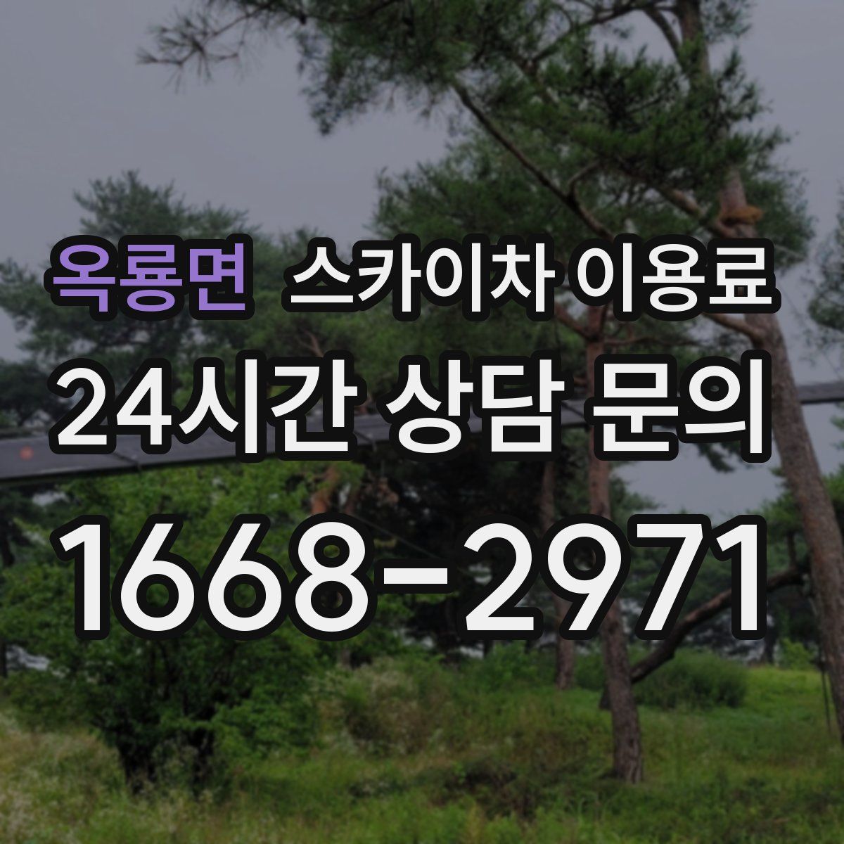 옥룡면 스카이차 이용료