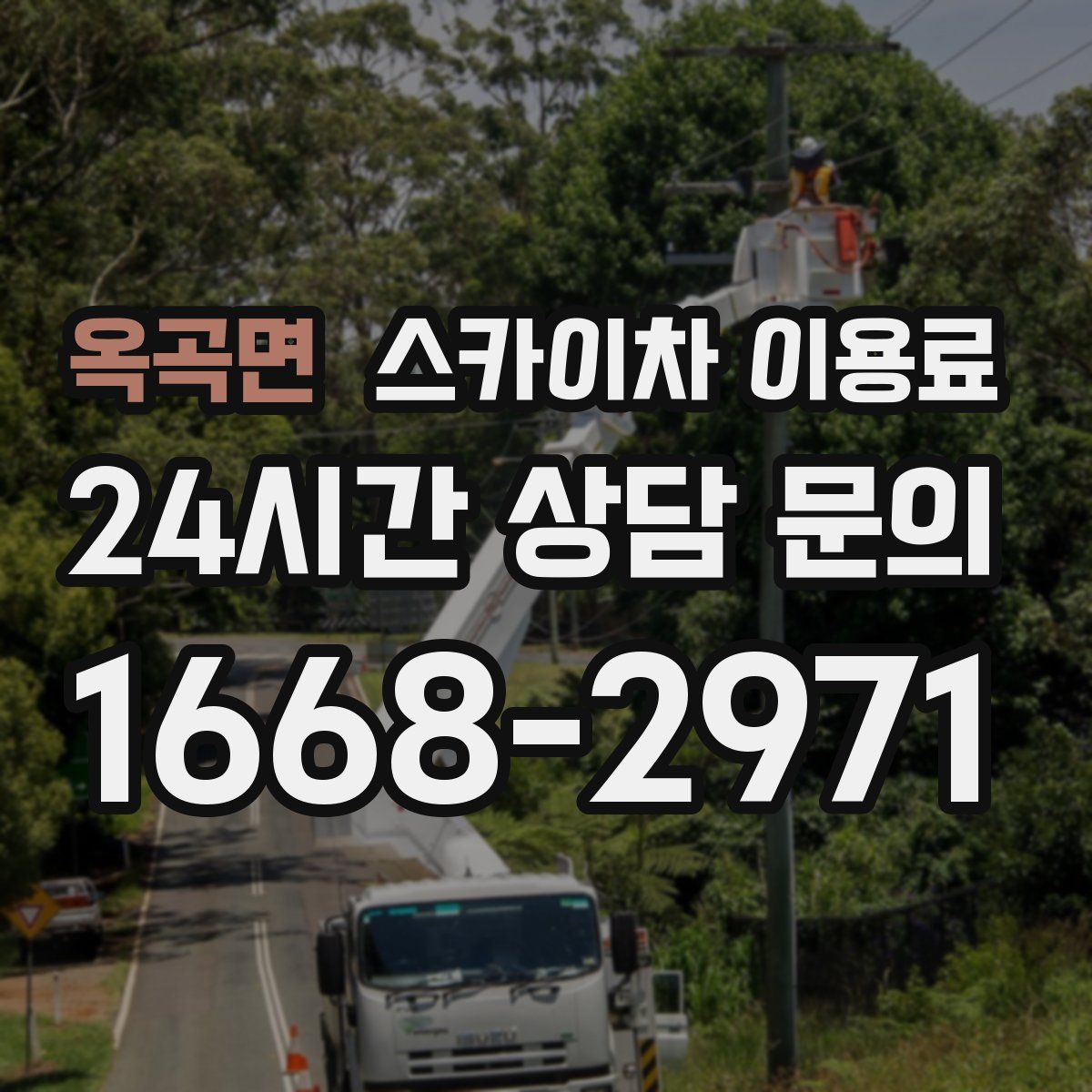 옥곡면 스카이차 이용료