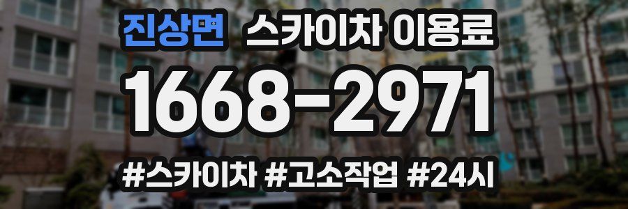 진상면 스카이차 이용료