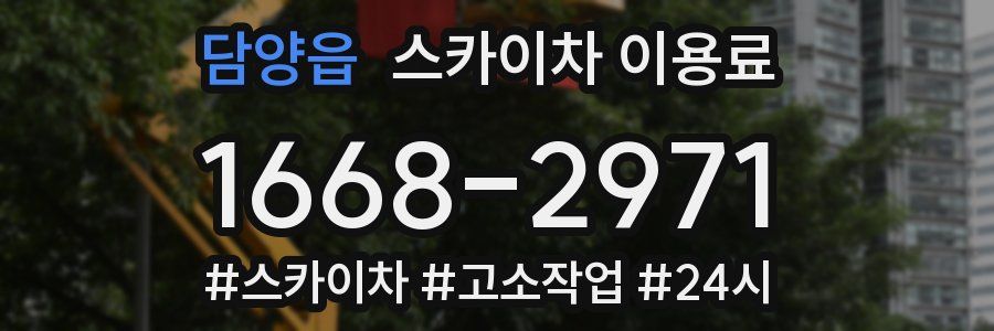 담양읍 스카이차 이용료
