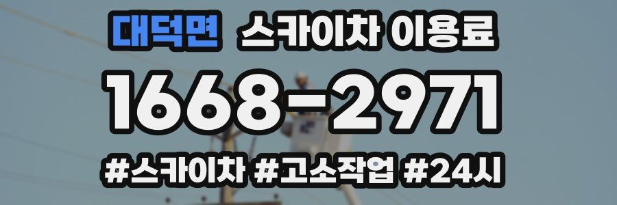 대덕면 스카이차 이용료