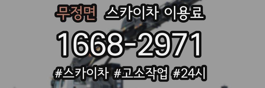무정면 스카이차 이용료