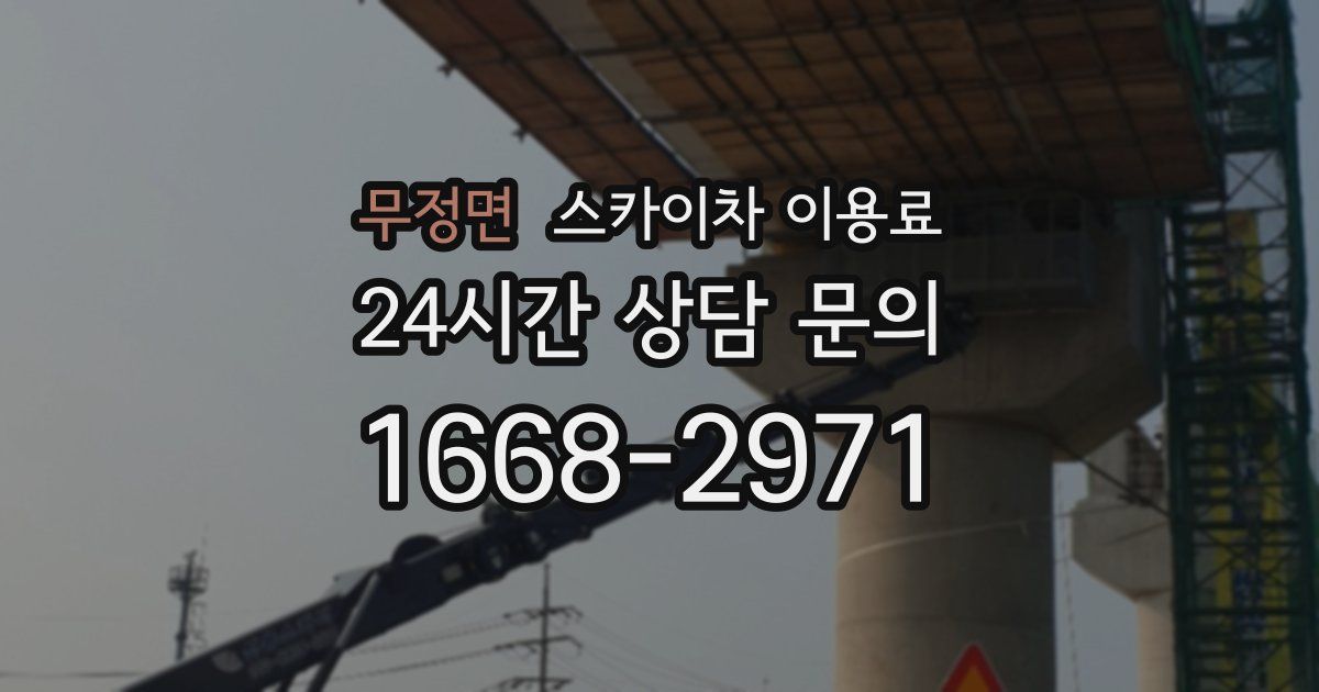무정면 스카이차 이용료