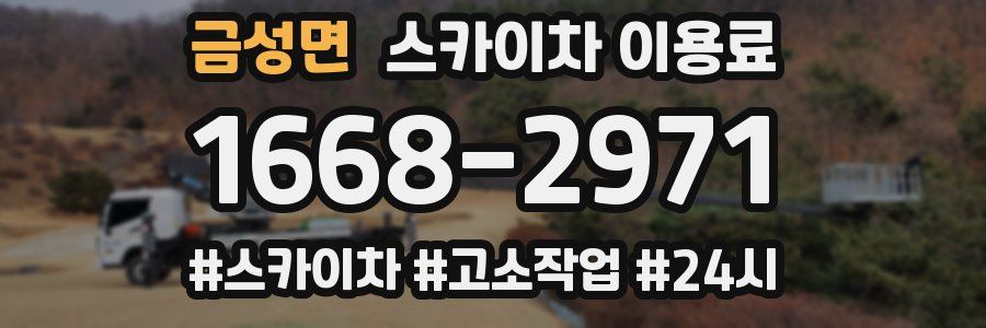 금성면 스카이차 이용료