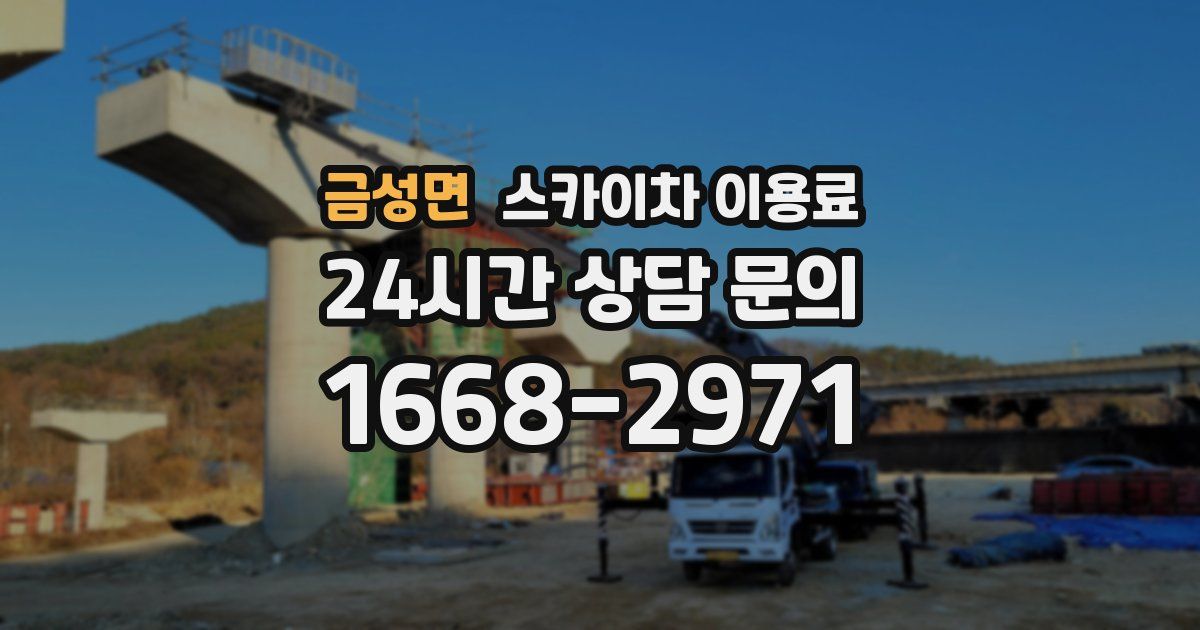 금성면 스카이차 이용료