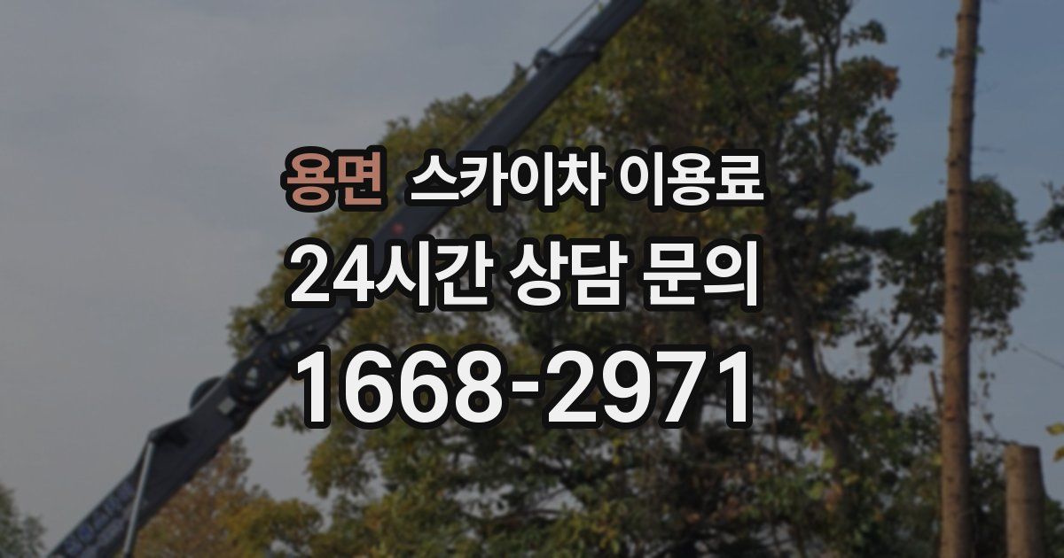 용면 스카이차 이용료