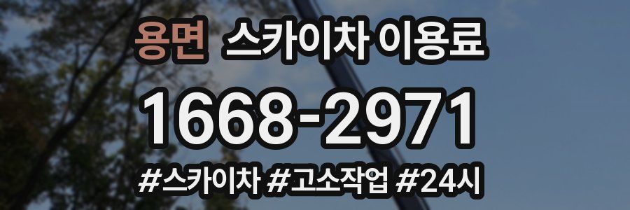 용면 스카이차 이용료