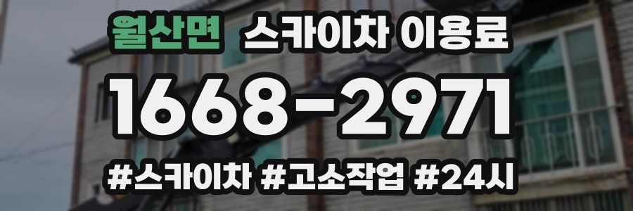 월산면 스카이차 이용료