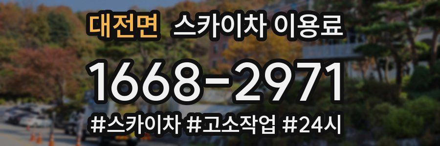 대전면 스카이차 이용료