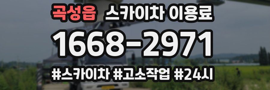 곡성읍 스카이차 이용료