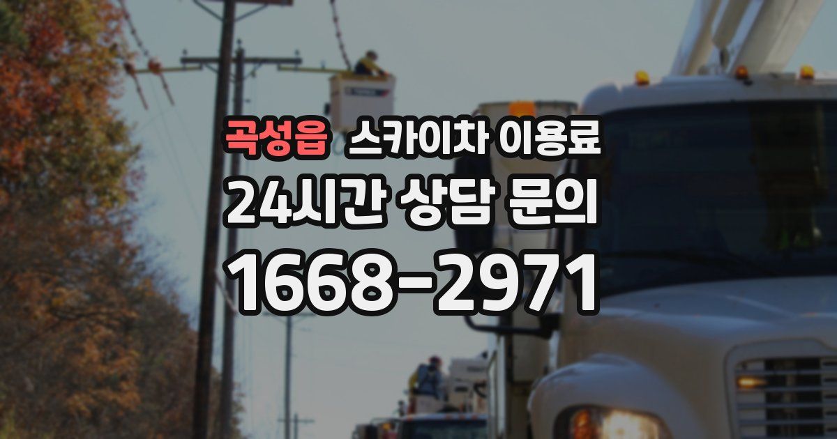 곡성읍 스카이차 이용료