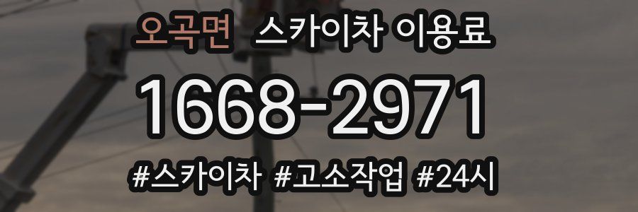 오곡면 스카이차 이용료