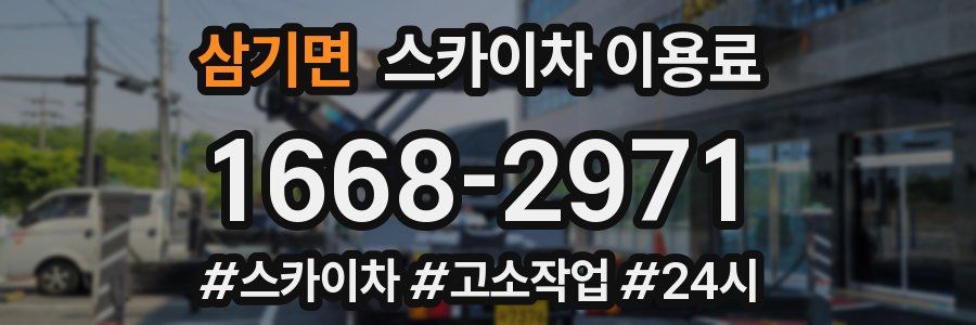 삼기면 스카이차 이용료
