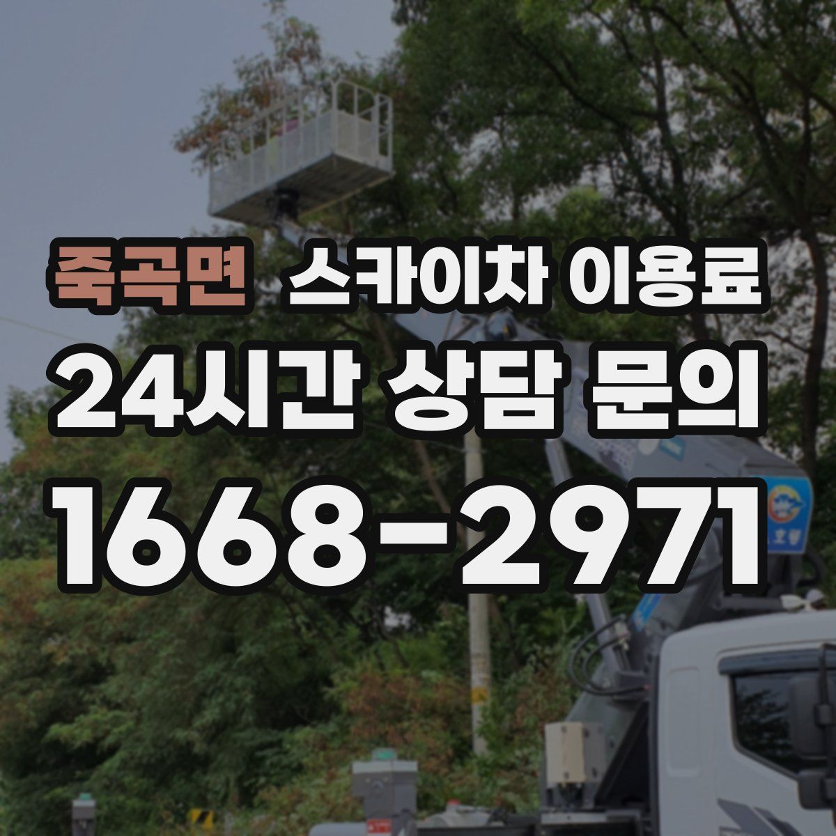 죽곡면 스카이차 이용료