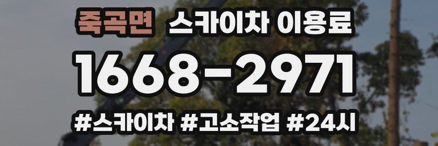 죽곡면 스카이차 이용료