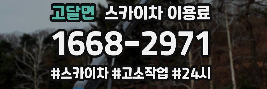 고달면 스카이차 이용료
