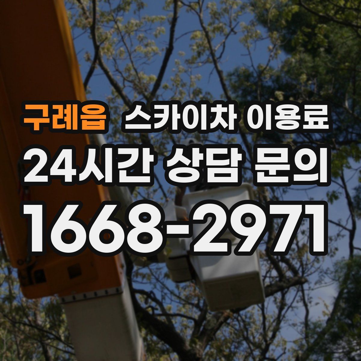 구례읍 스카이차 이용료