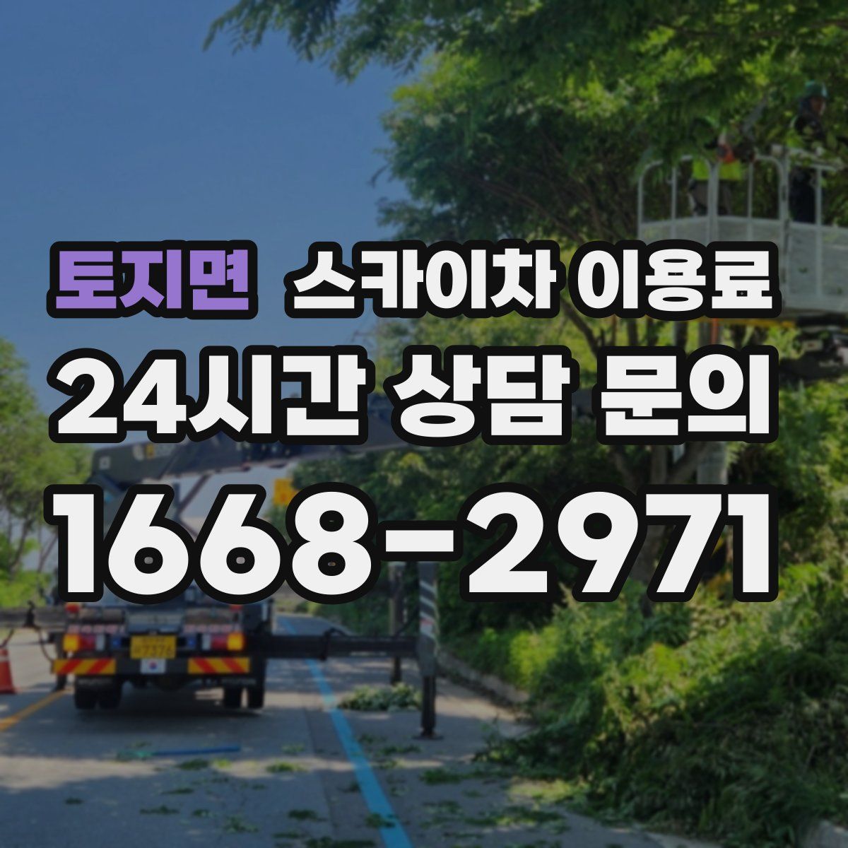 토지면 스카이차 이용료