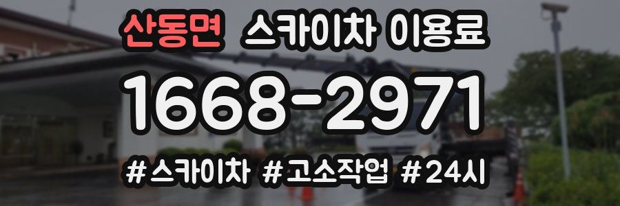 산동면 스카이차 이용료
