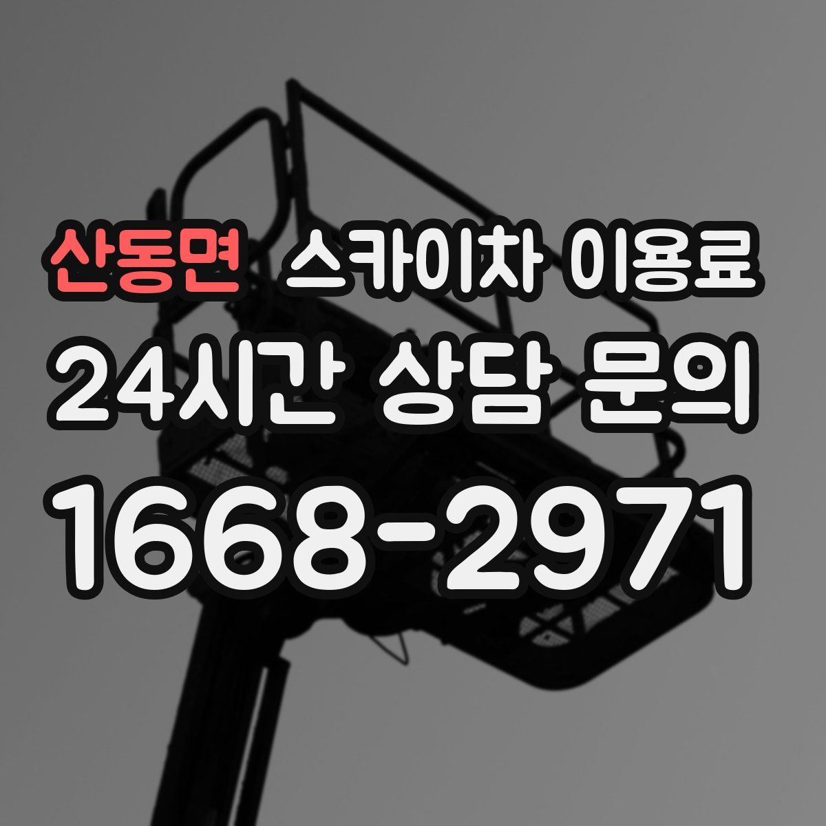 산동면 스카이차 이용료