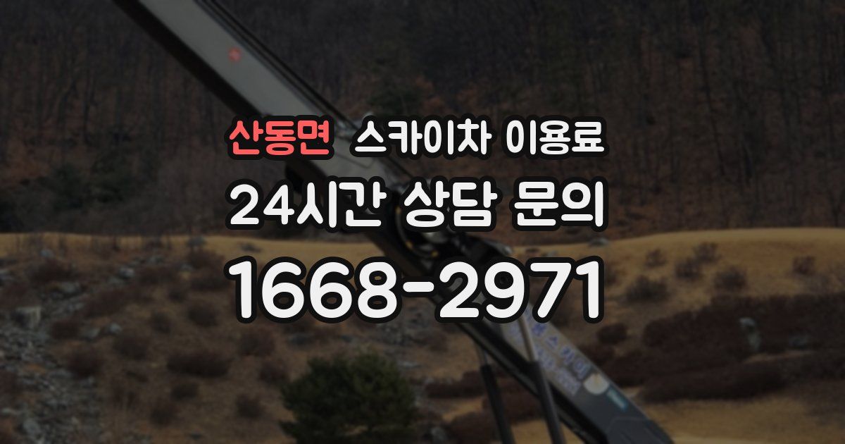 산동면 스카이차 이용료