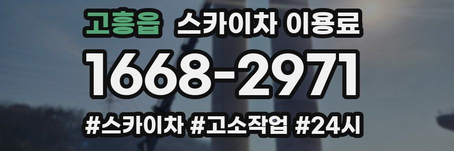 고흥읍 스카이차 이용료