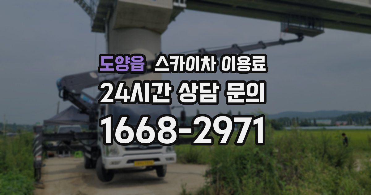 도양읍 스카이차 이용료