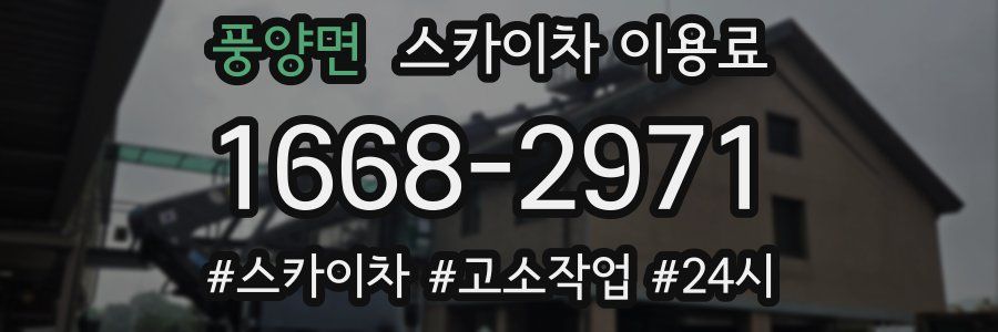 풍양면 스카이차 이용료