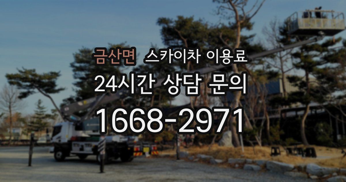 금산면 스카이차 이용료