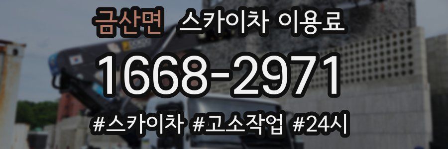 금산면 스카이차 이용료