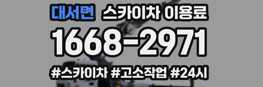 대서면 스카이차 이용료