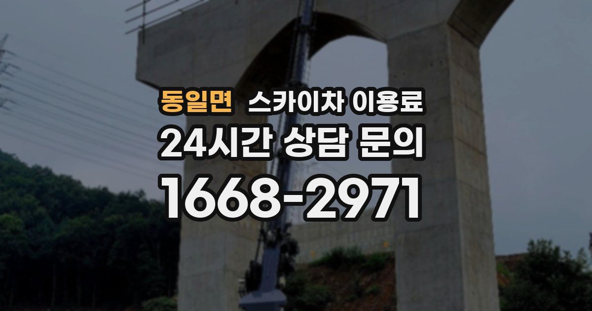 동일면 스카이차 이용료