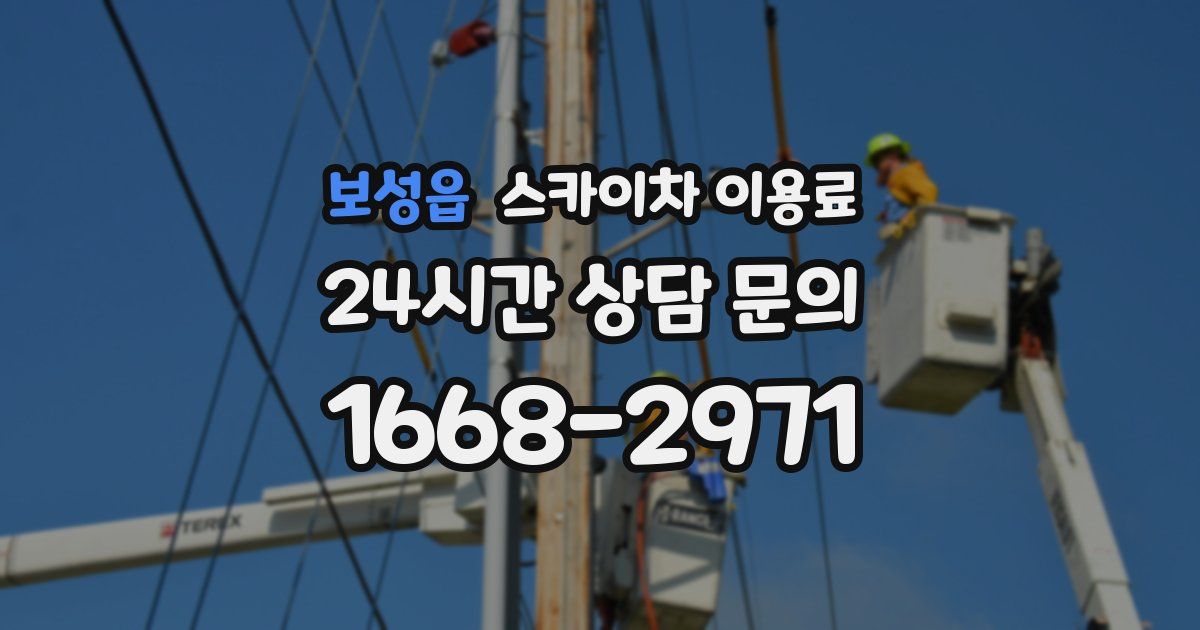 보성읍 스카이차 이용료