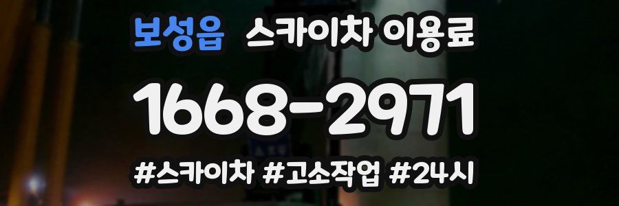 보성읍 스카이차 이용료