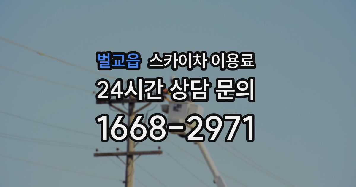 벌교읍 스카이차 이용료