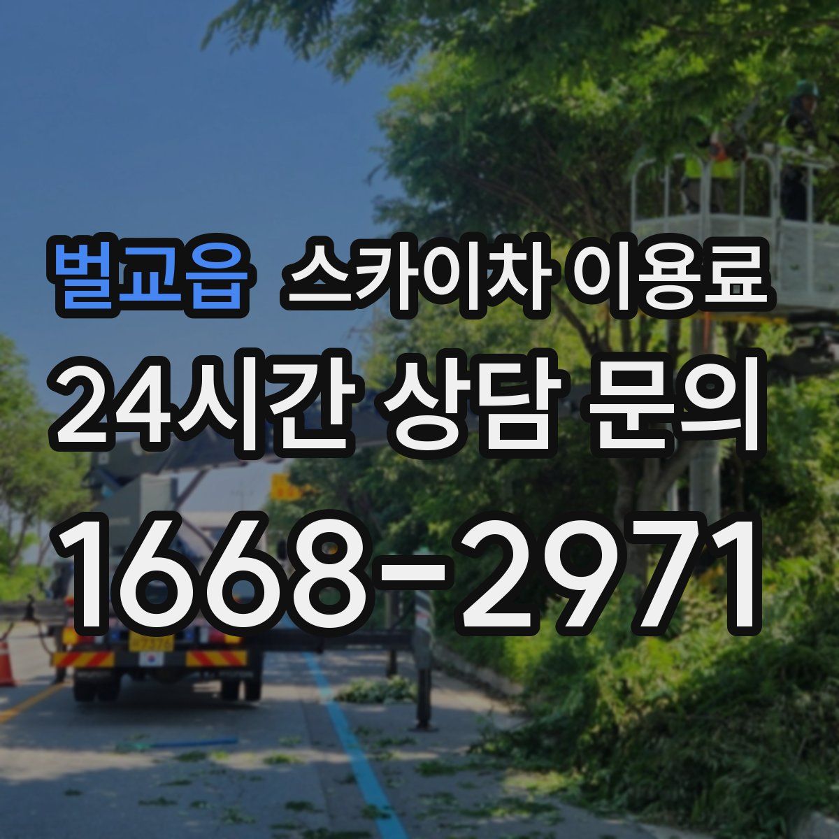벌교읍 스카이차 이용료