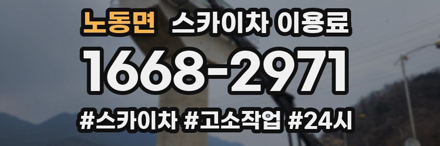 노동면 스카이차 이용료