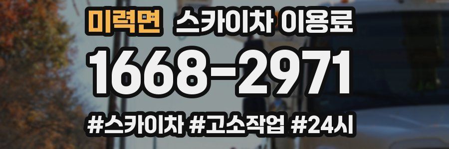 미력면 스카이차 이용료