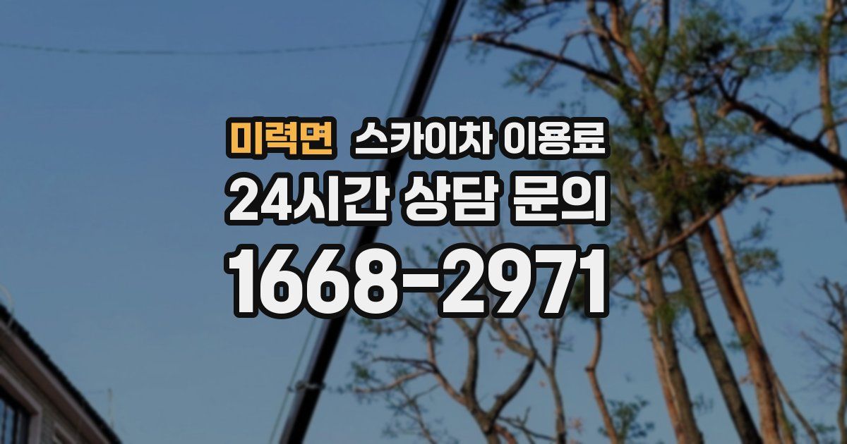 미력면 스카이차 이용료