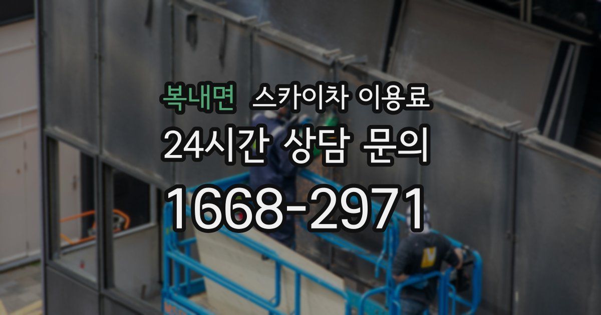 복내면 스카이차 이용료