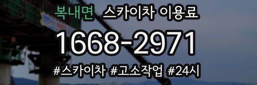 복내면 스카이차 이용료
