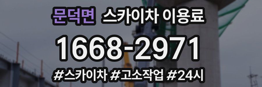문덕면 스카이차 이용료